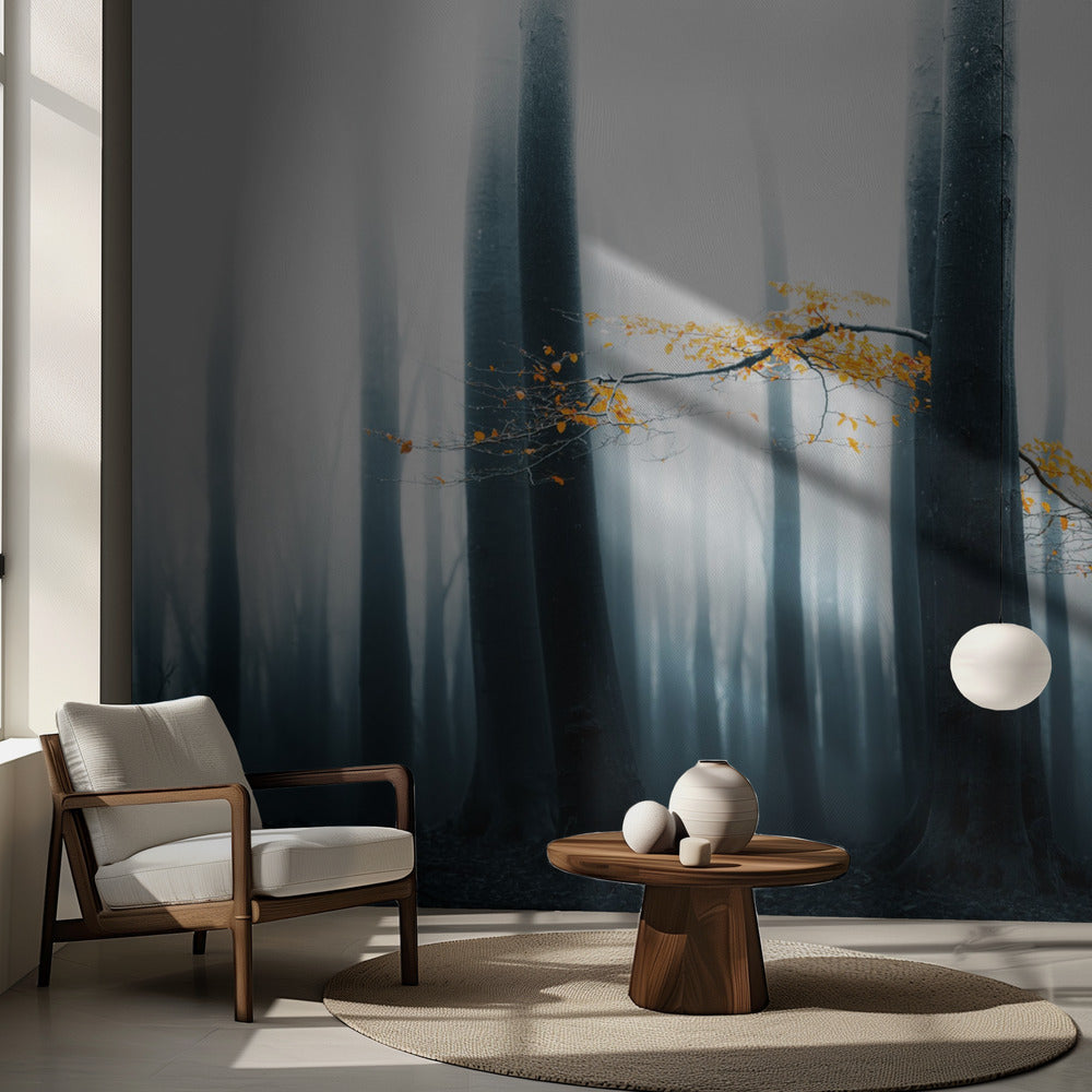 Speulder genbesøgt | Fototapeter