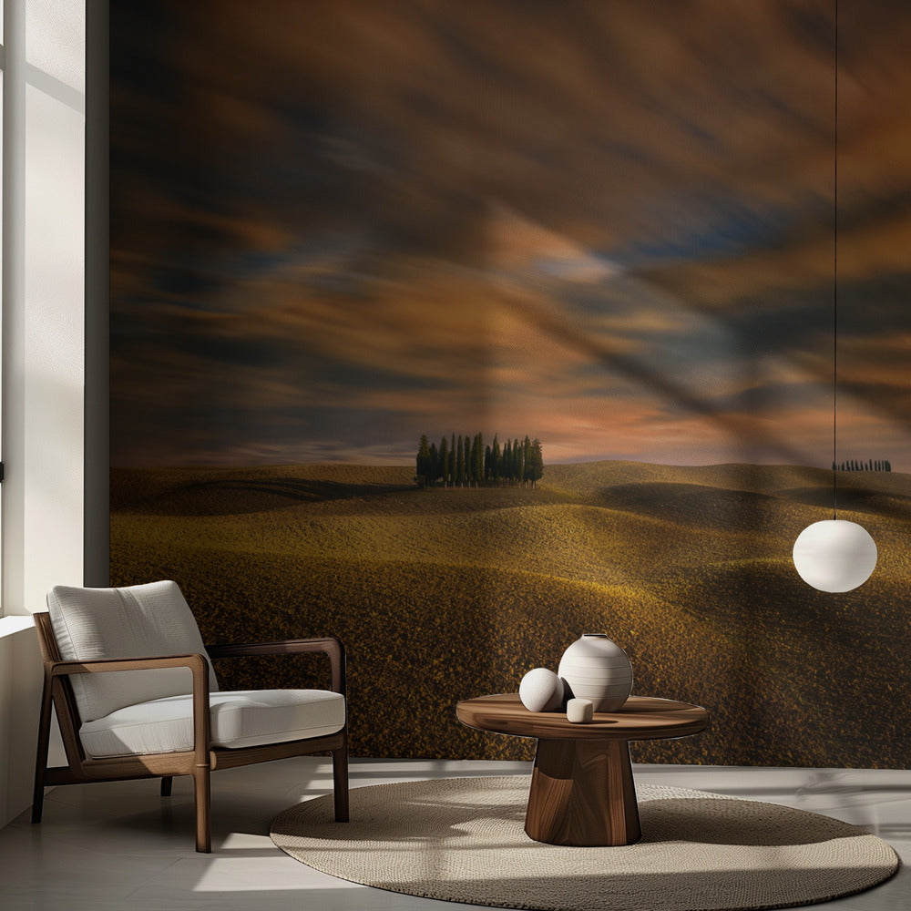 Sypressit... | Valokuvatapetit