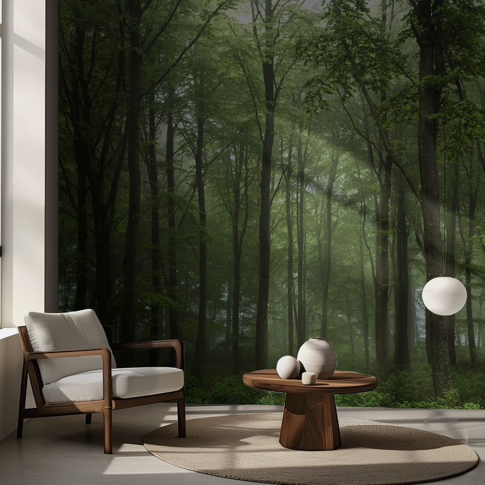 Foresta... | Carta da Parati Fotografica