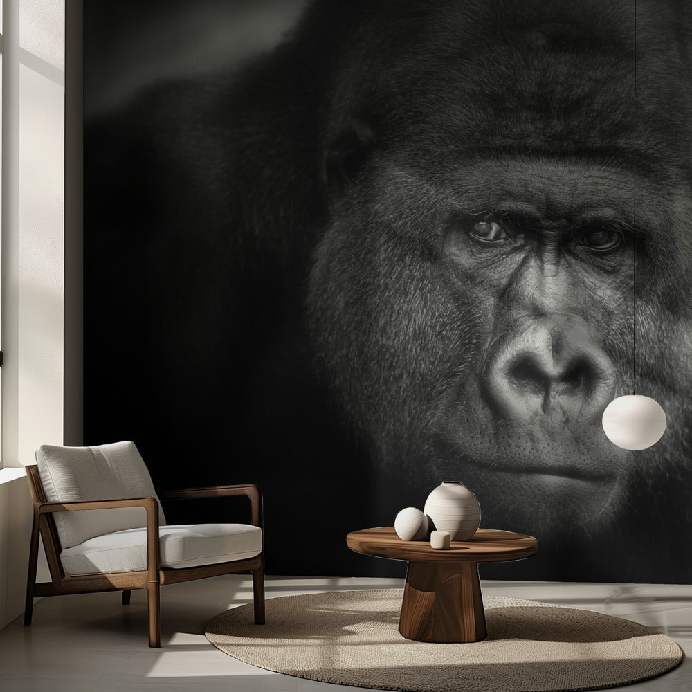 PIENI HYMY .... | Valokuvatapetit