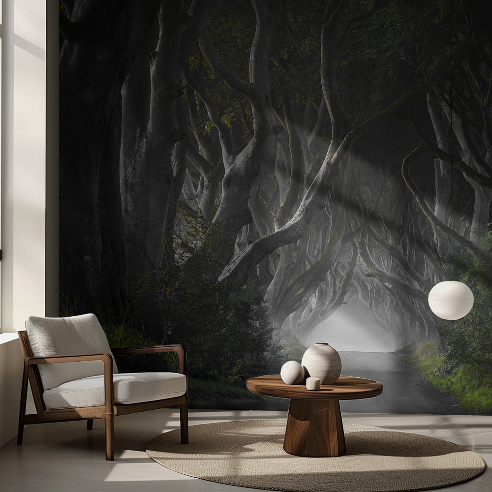 TUMMAT AIDAT | Valokuvatapetit