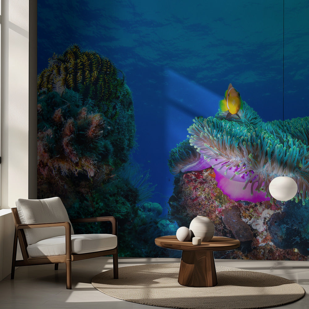 La vie marine | Papier Peint Photo
