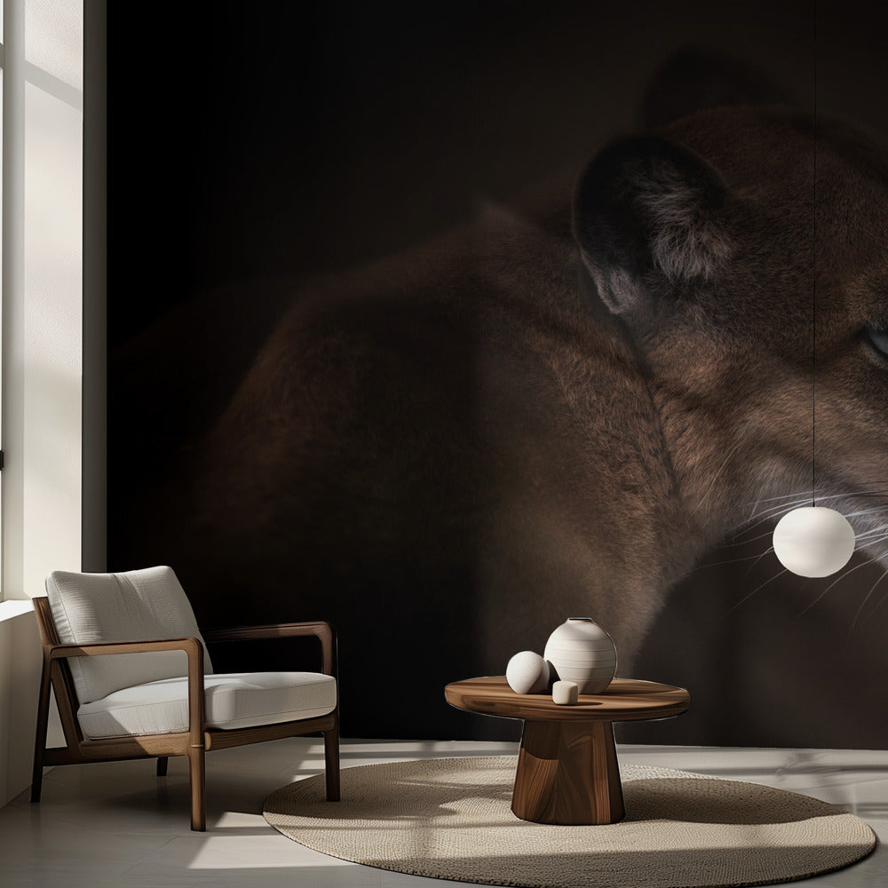 Puuma | Valokuvatapetit