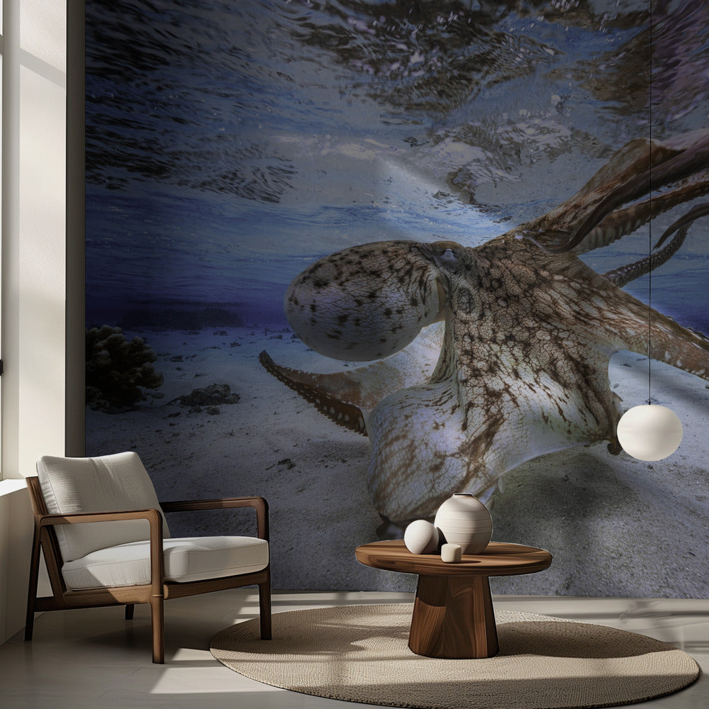 Pulpo bailando | Papel Pintado Fotográfico