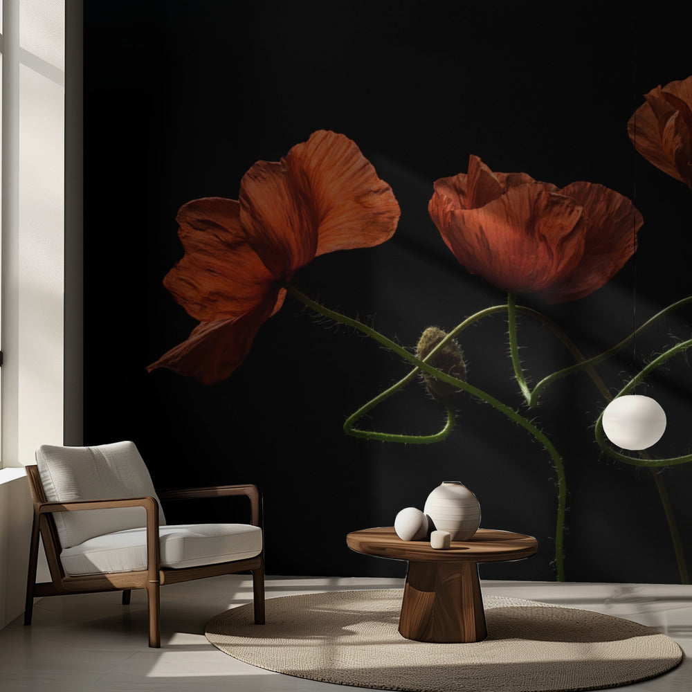 Alrededor de la medianoche #2 | Papel Pintado Fotográfico