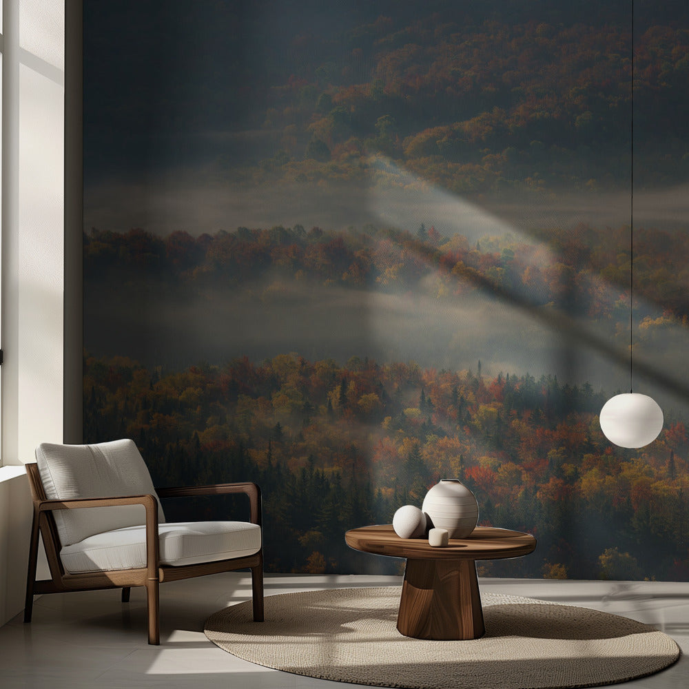 Mattina nebbiosa | Carta da Parati Fotografica