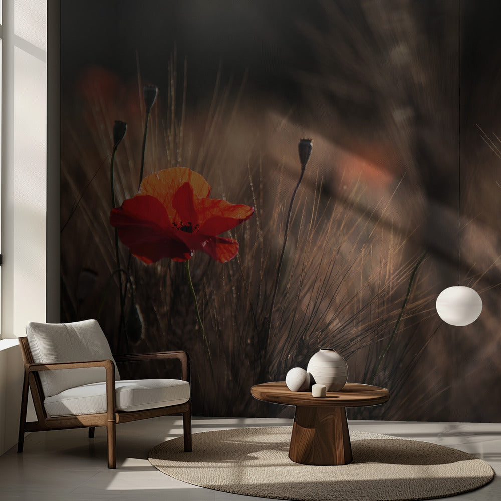 Amapola con maíz | Papel Pintado Fotográfico