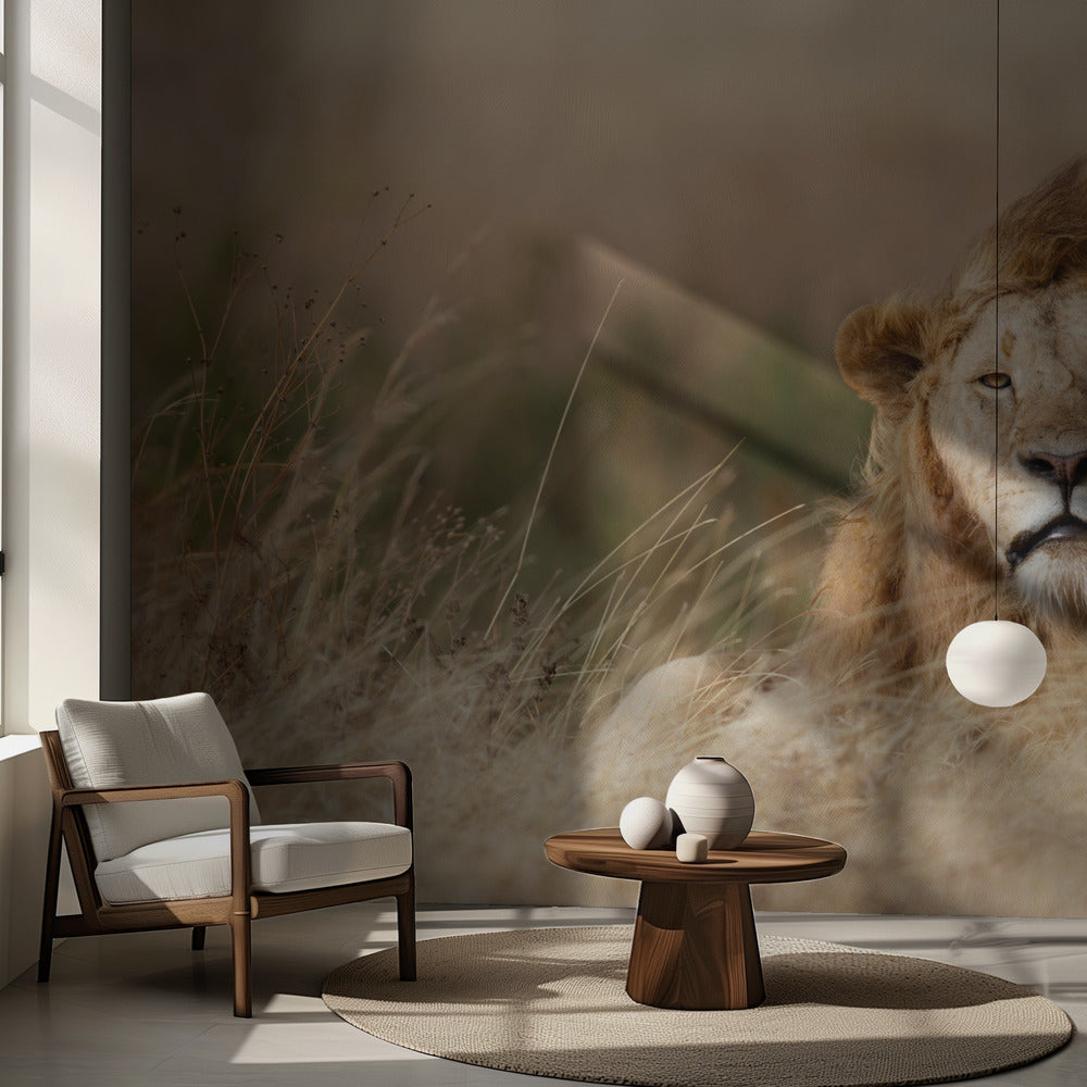 Komea! | Valokuvatapetit