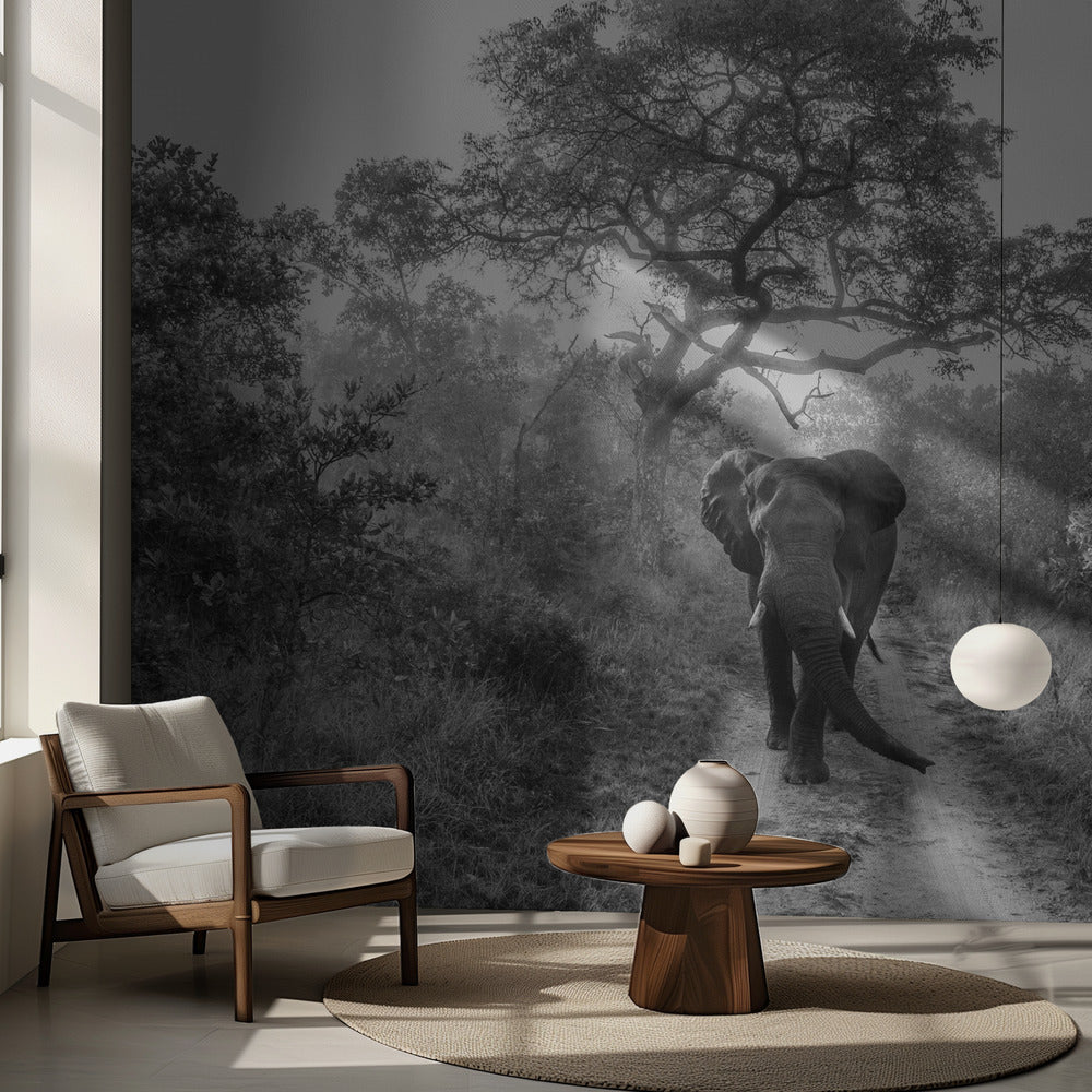 KÄVELEVÄ JÄTTILÄINEN | Valokuvatapetit