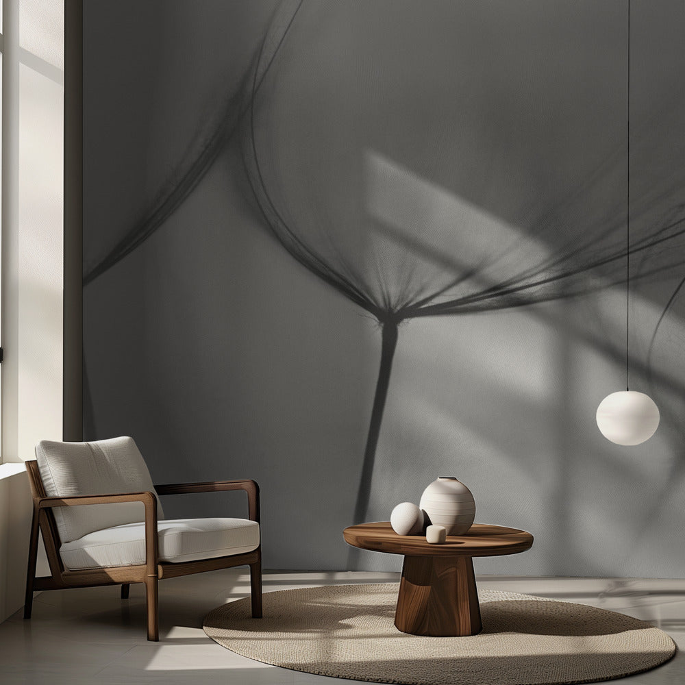 Tragopogon | Papel Pintado Fotográfico