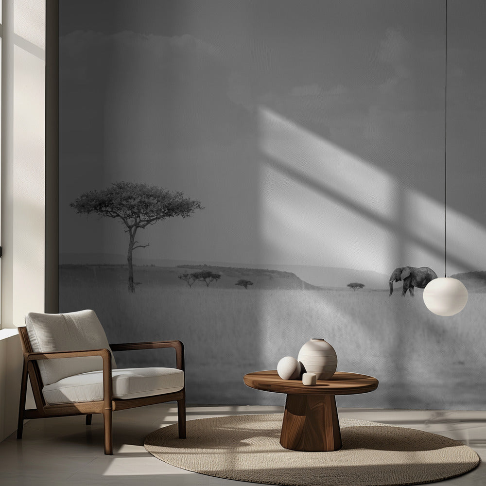 KORKEA SAVANNAH | Valokuvatapetit