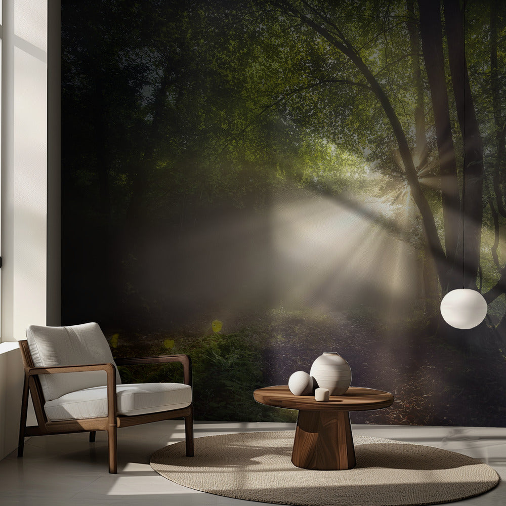 Poranne światło | Fototapeta