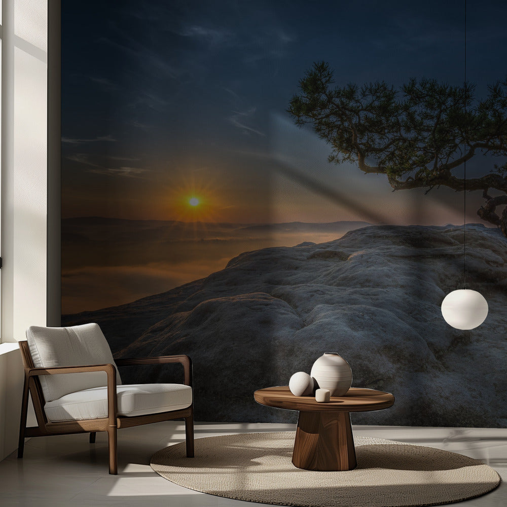 Pino vecchio | Carta da Parati Fotografica