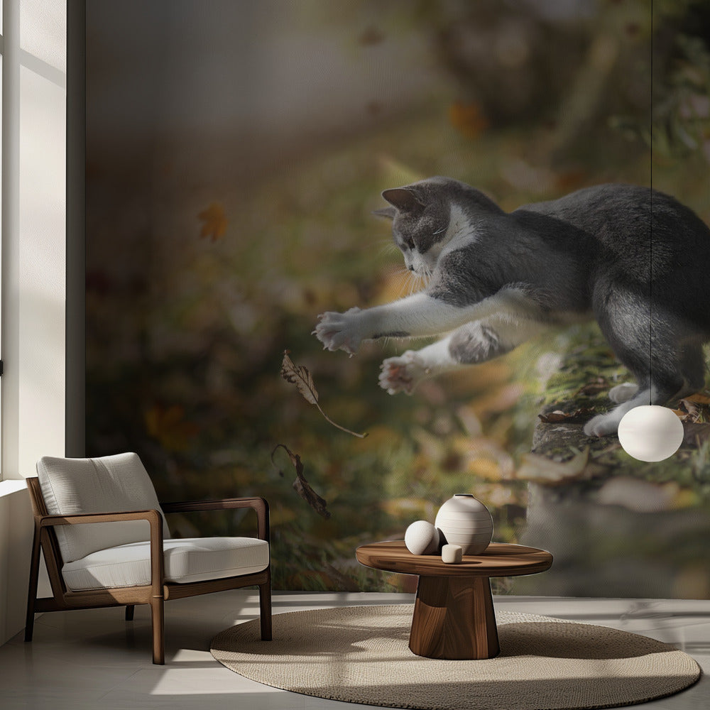 Syysleikki | Valokuvatapetit