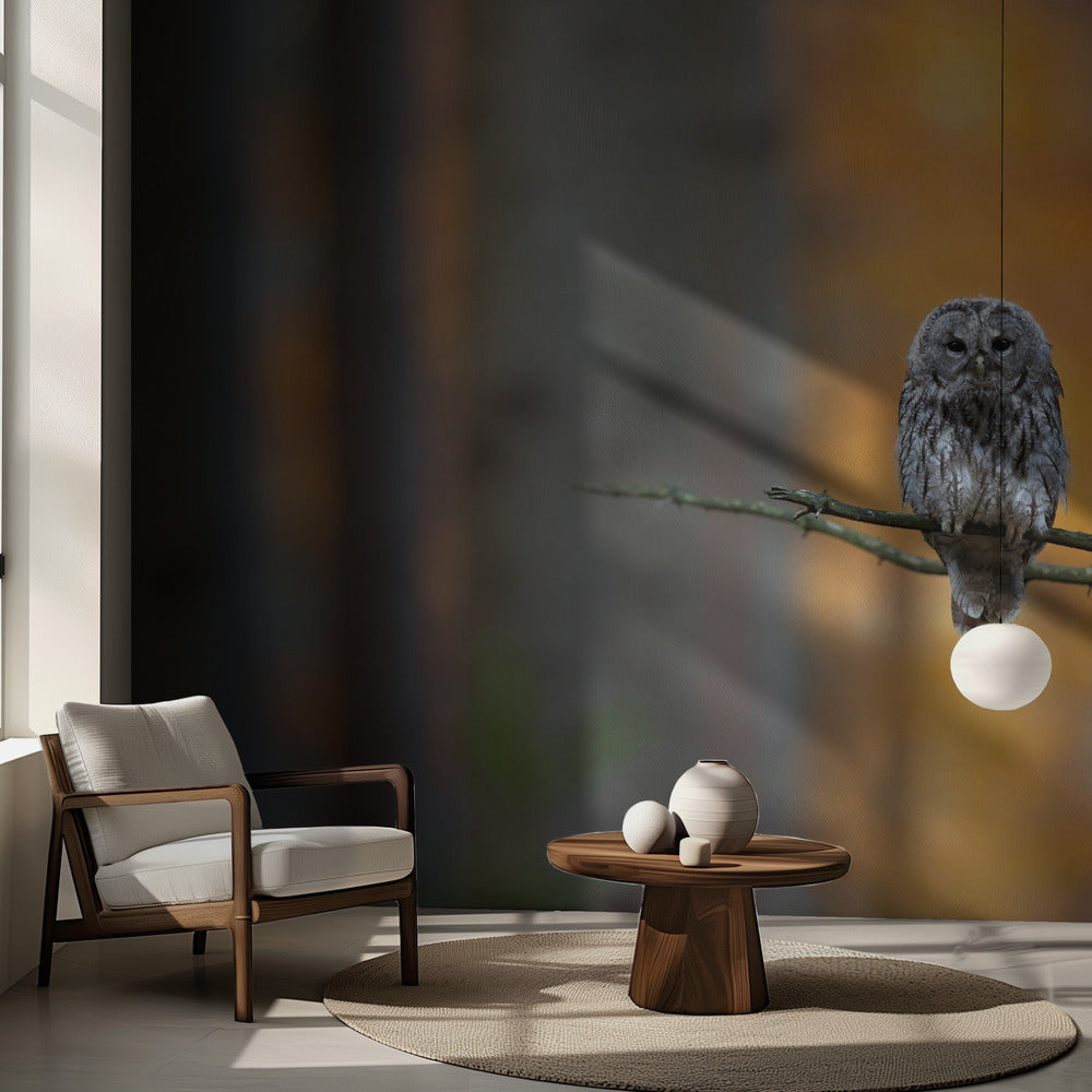 Búho leonado Papel Pintado Fotográfico