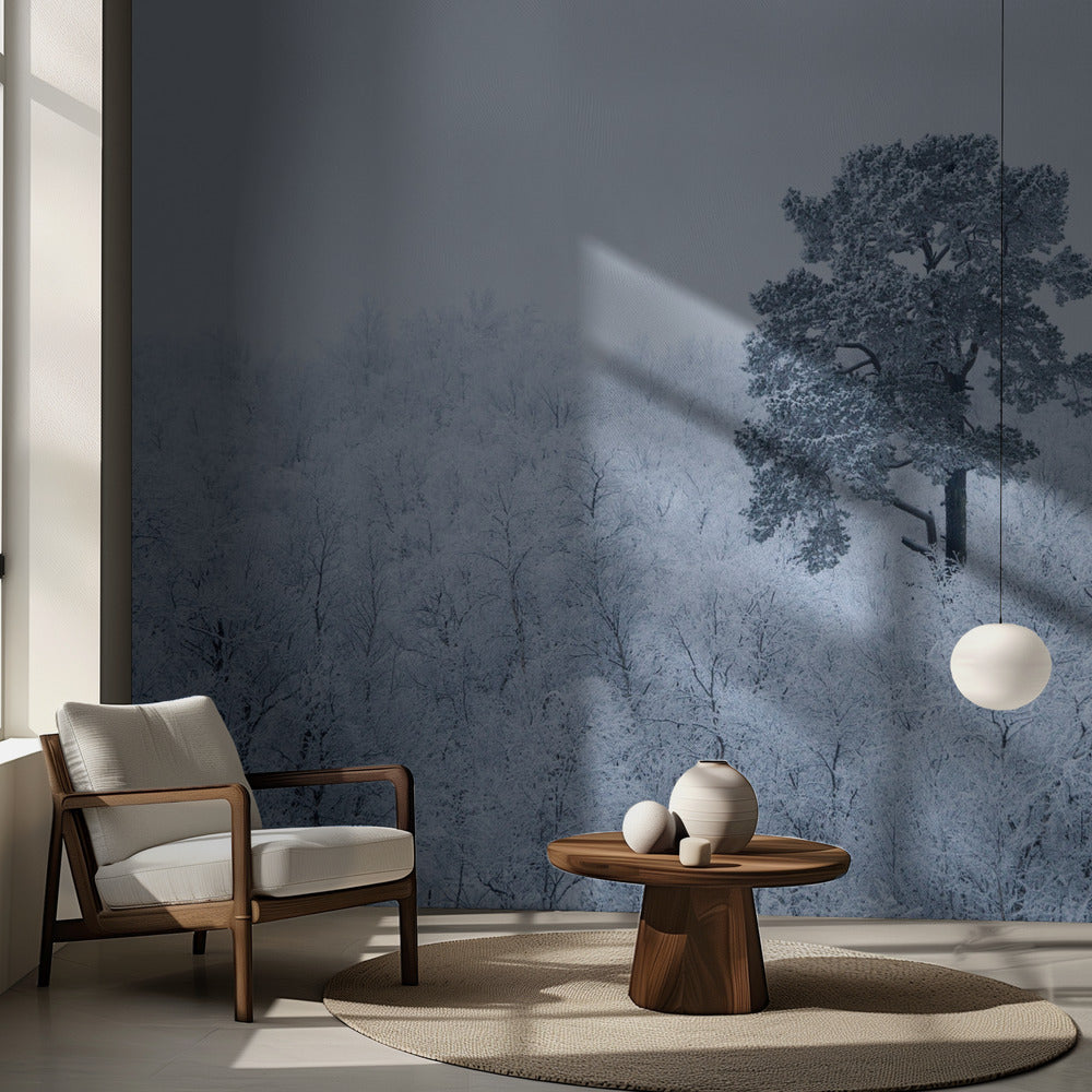 Første sne | Fototapeter