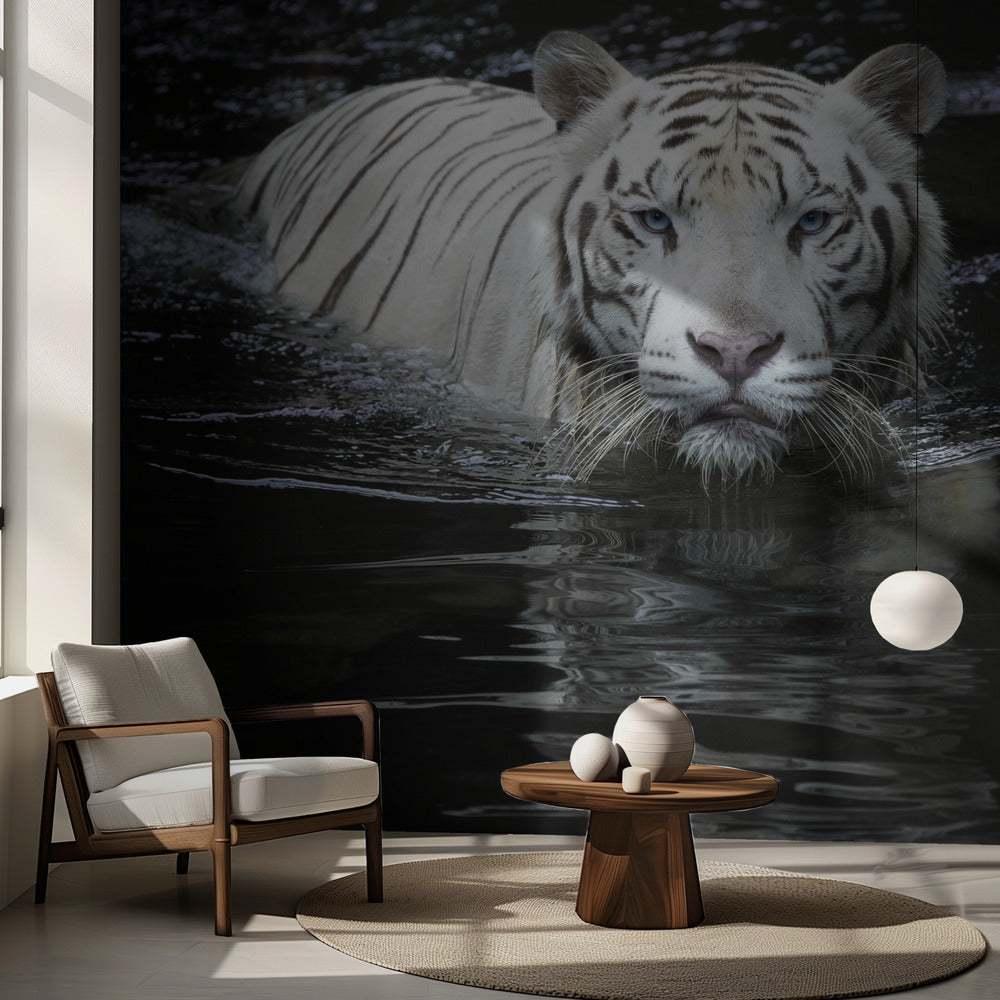 Katson minua Katson sinua | Valokuvatapetit