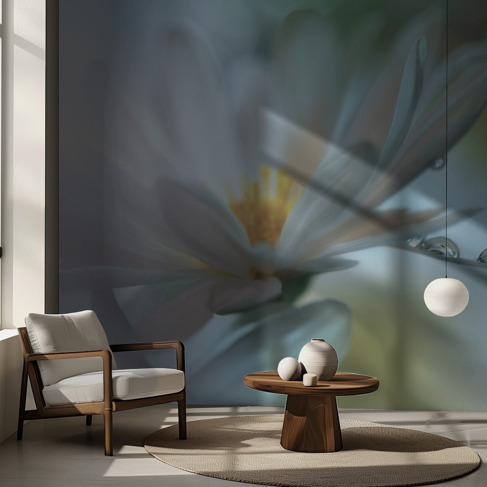 Light touch... | Wallpaper