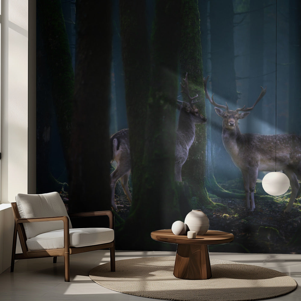 Hirsche | Fototapeten