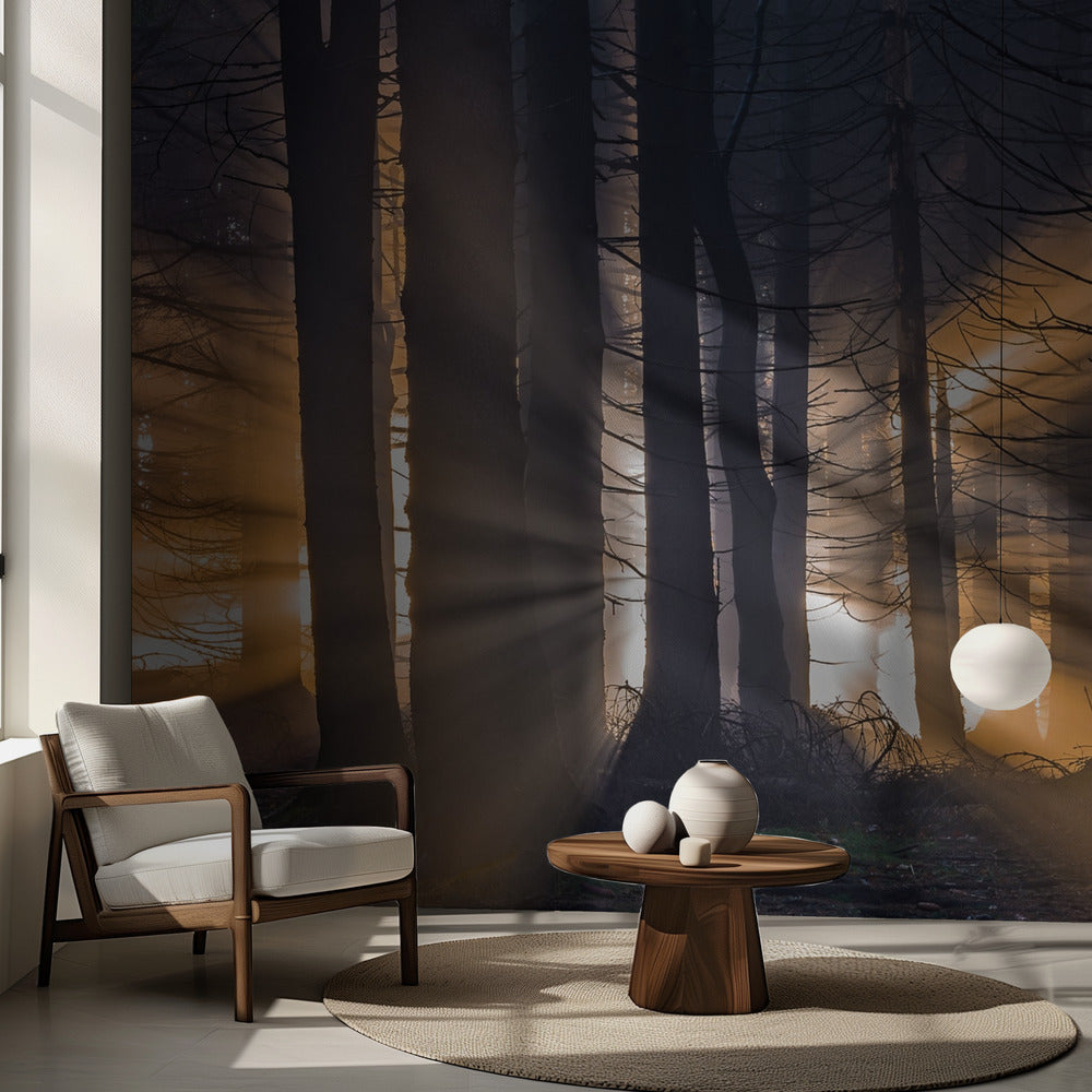 Metsä | Valokuvatapetit