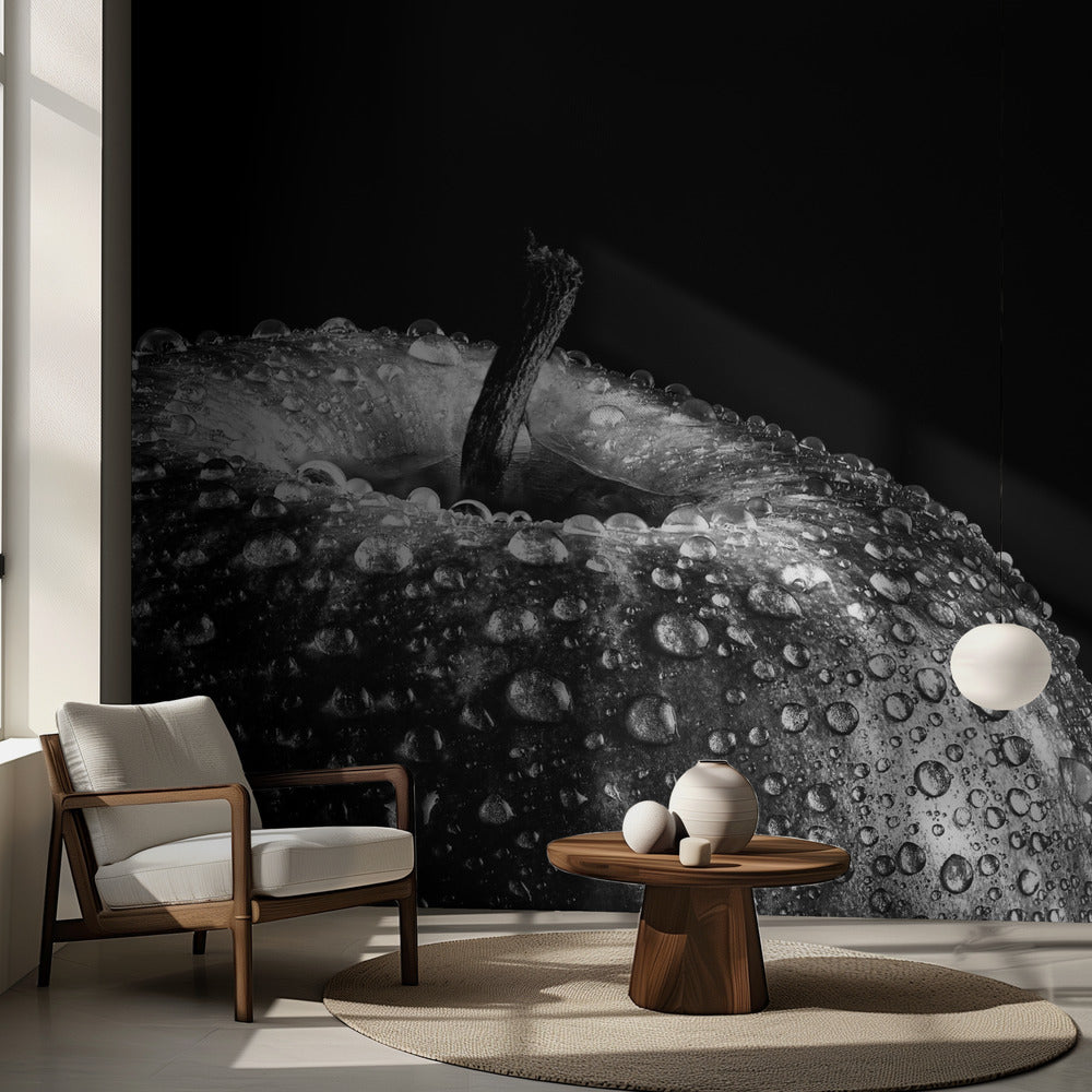 puhelu | Valokuvatapetit