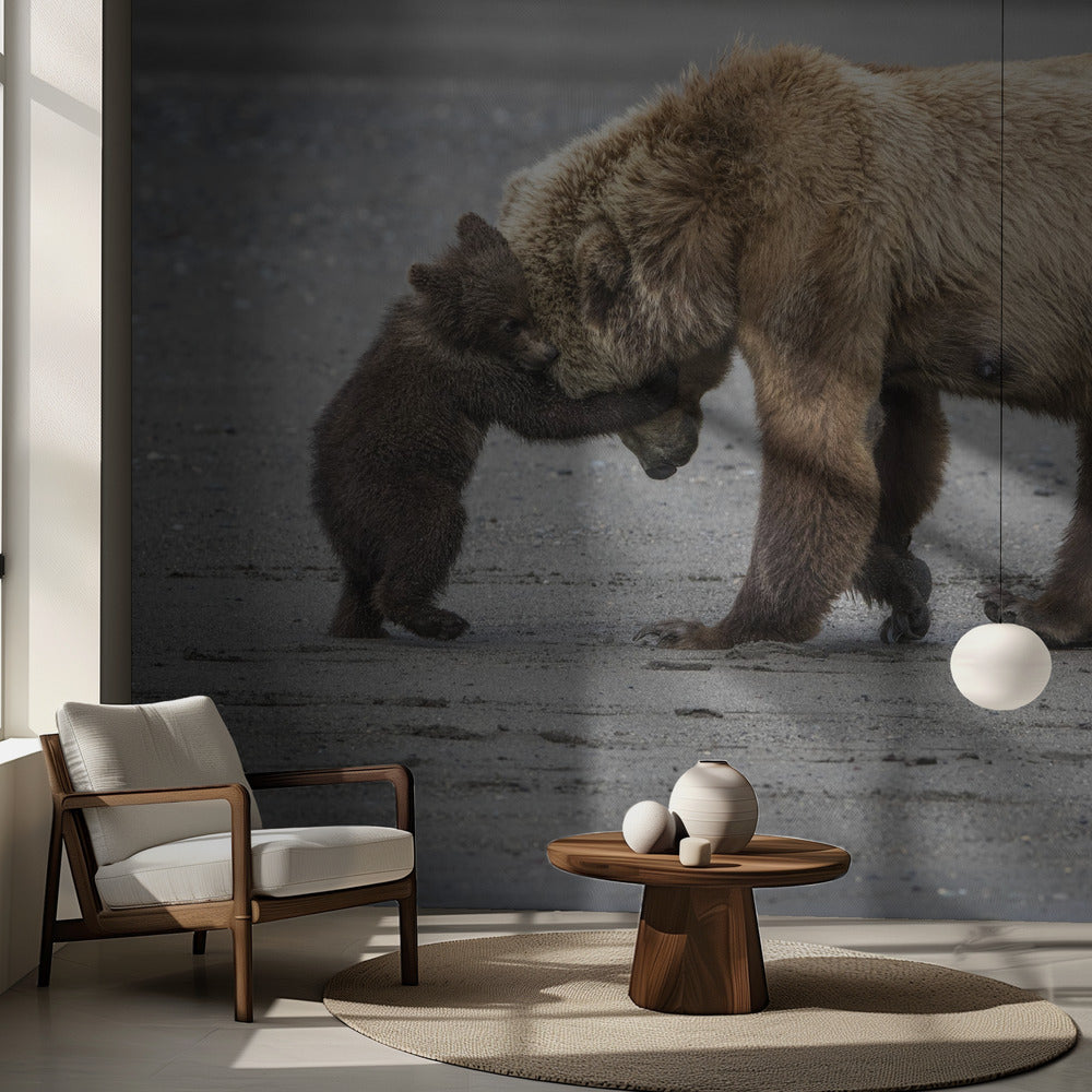 Un pequeño abrazo de oso | Papel Pintado Fotográfico