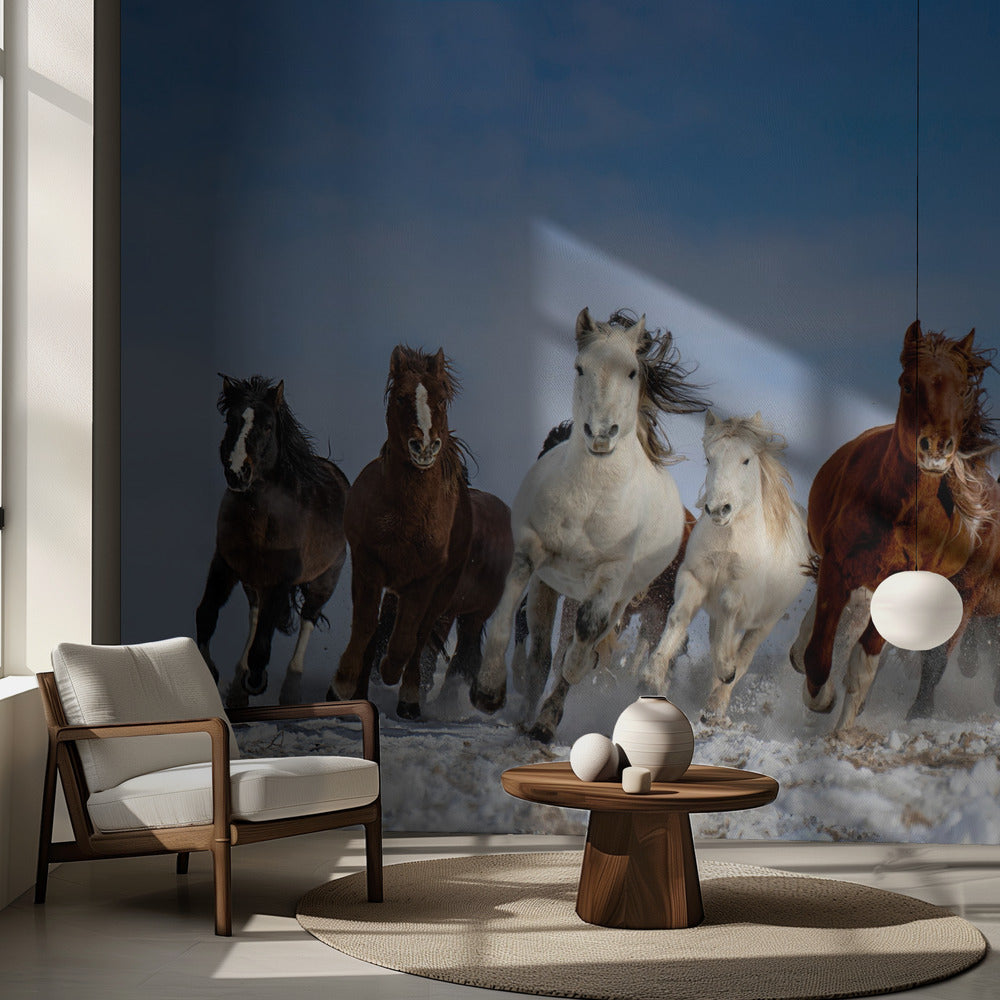 Mongolian hevoset | Valokuvatapetit