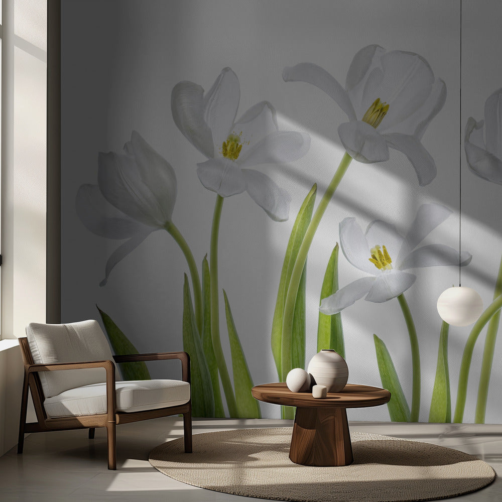 White Tulips | Wallpaper