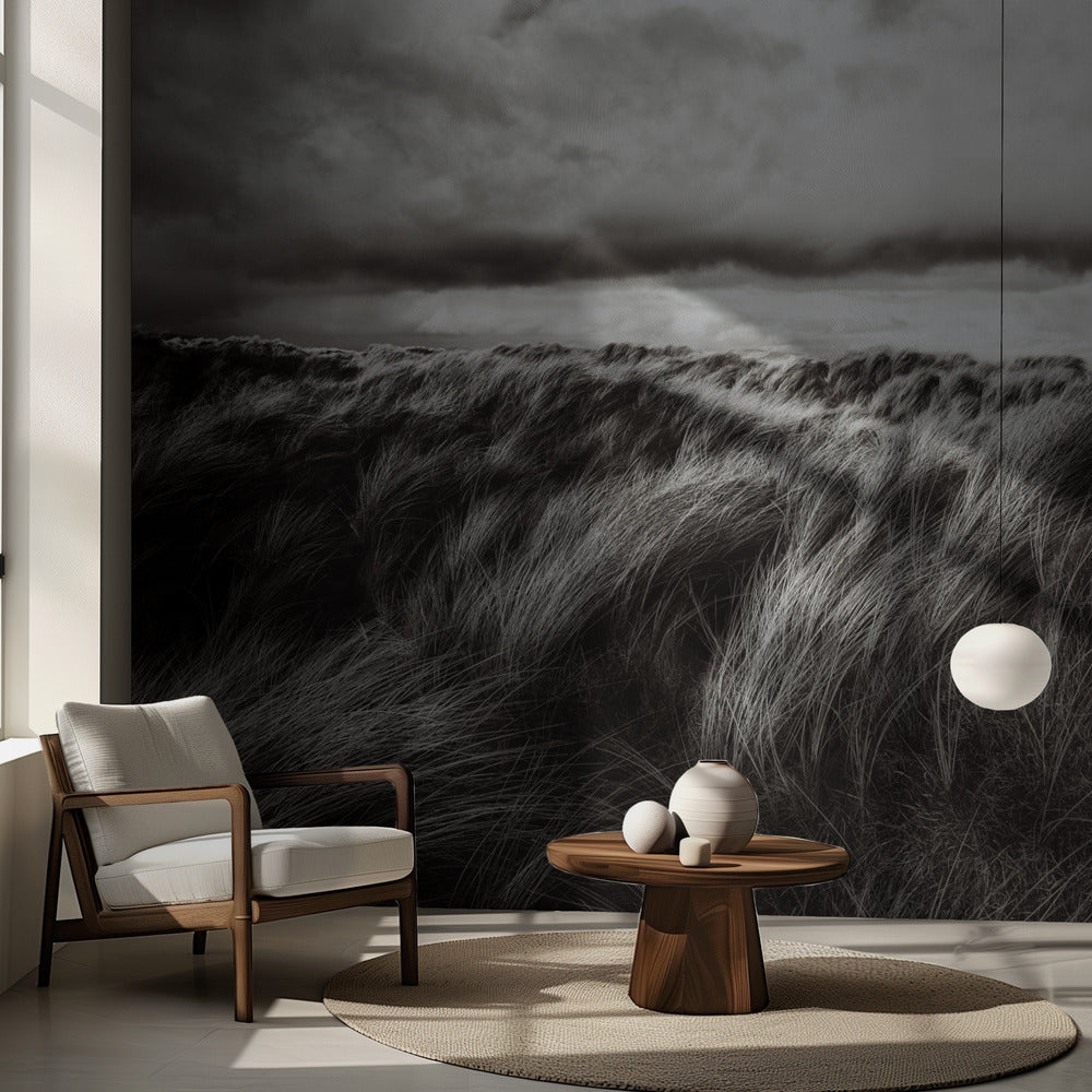 Græsklitter | Fototapeter