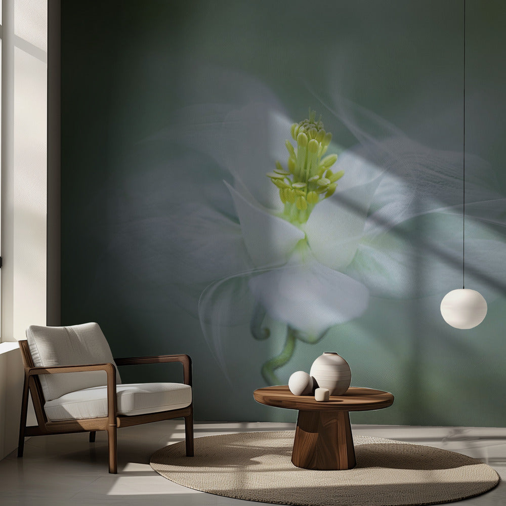 Místico | Papel Pintado Fotográfico