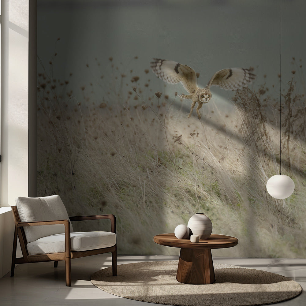 Caza del búho campestre | Papel Pintado Fotográfico