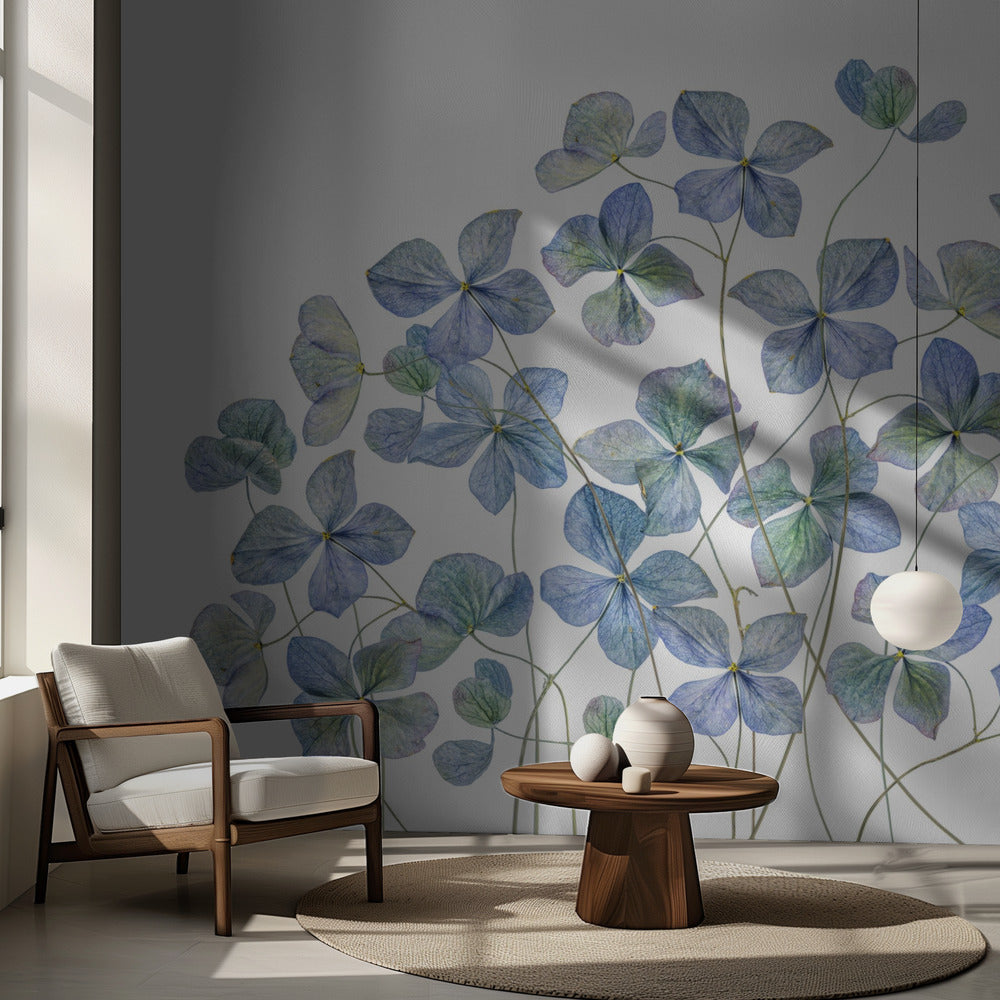 Hydrangea | Wallpaper