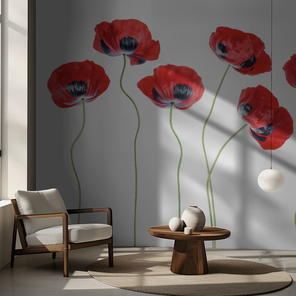 Ladybird Poppies | Wallpaper