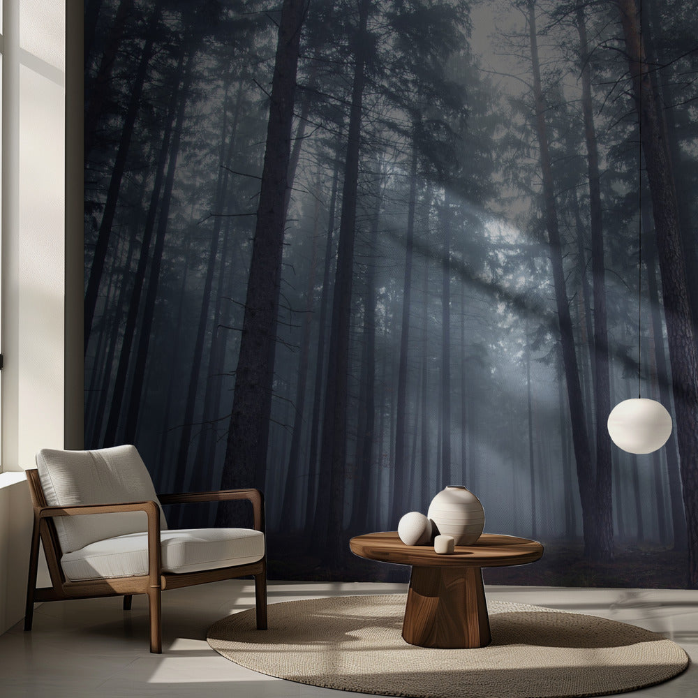 Mystisk tåget skov. Fototapeter