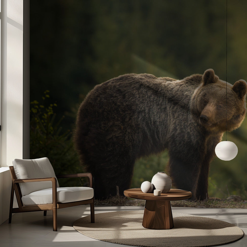 Oso retroiluminado | Papel Pintado Fotográfico