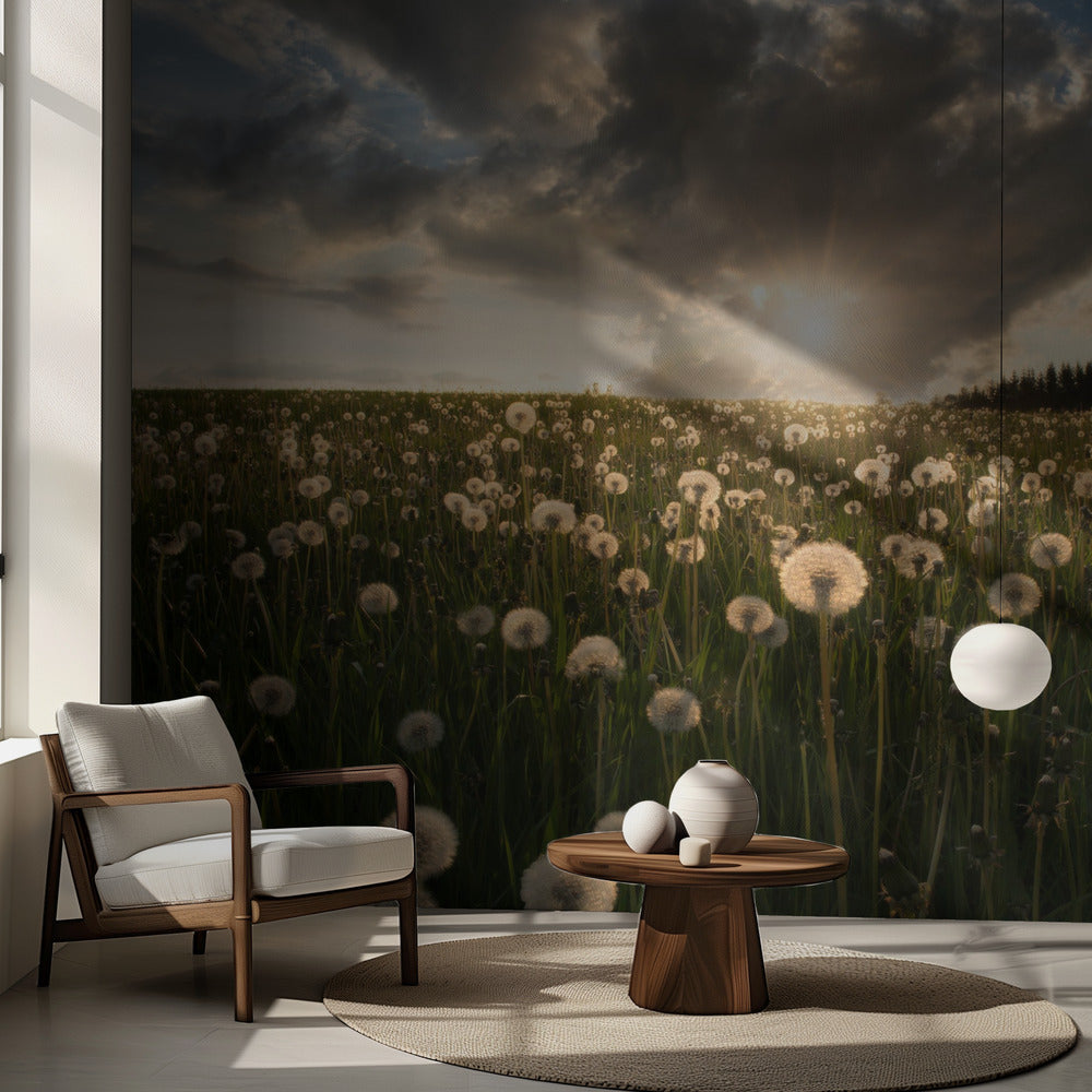 Hehkulamput | Valokuvatapetit