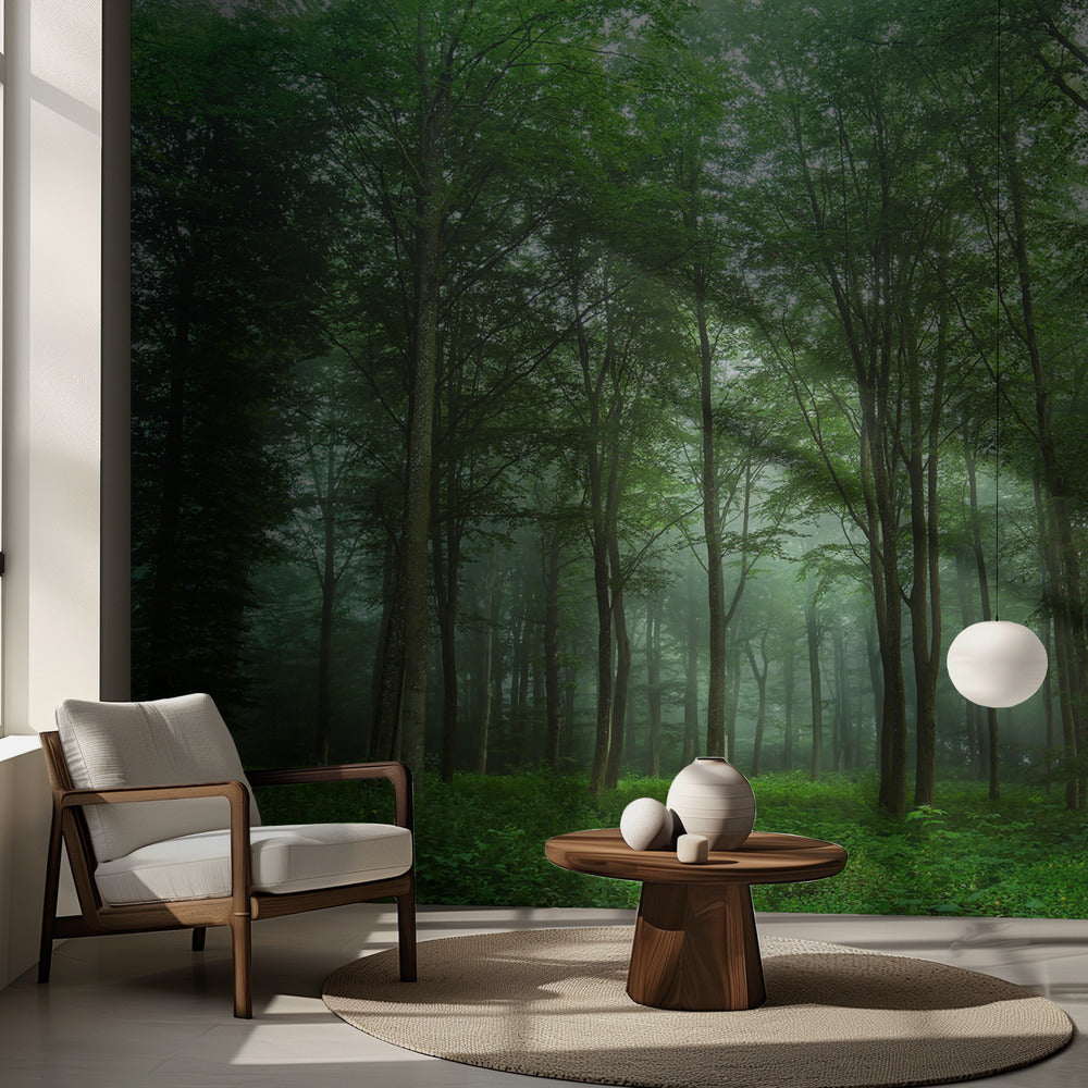 Vista del bosque | Papel Pintado Fotográfico