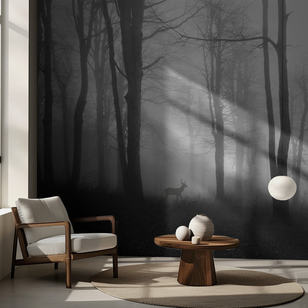 bosque | Papel Pintado Fotográfico