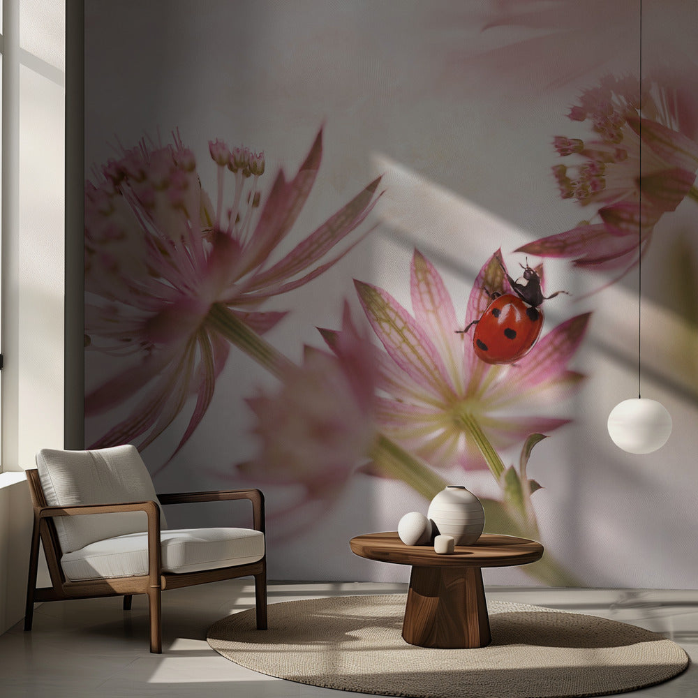 Coccinella e fiori rosa | Carta da Parati Fotografica
