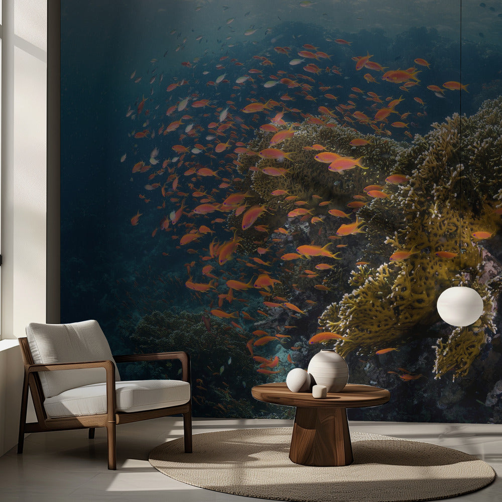 Revlandskap | Fototapet