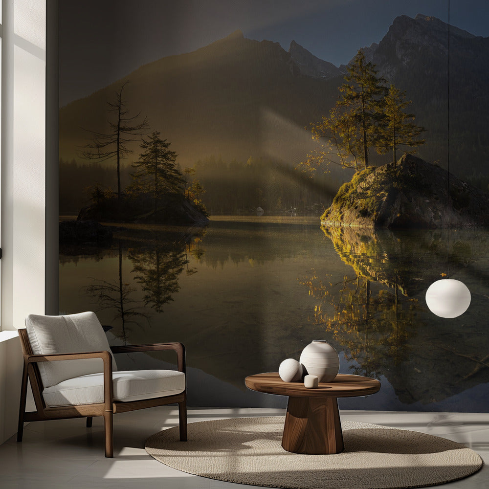 Kultainen aamu | Valokuvatapetit