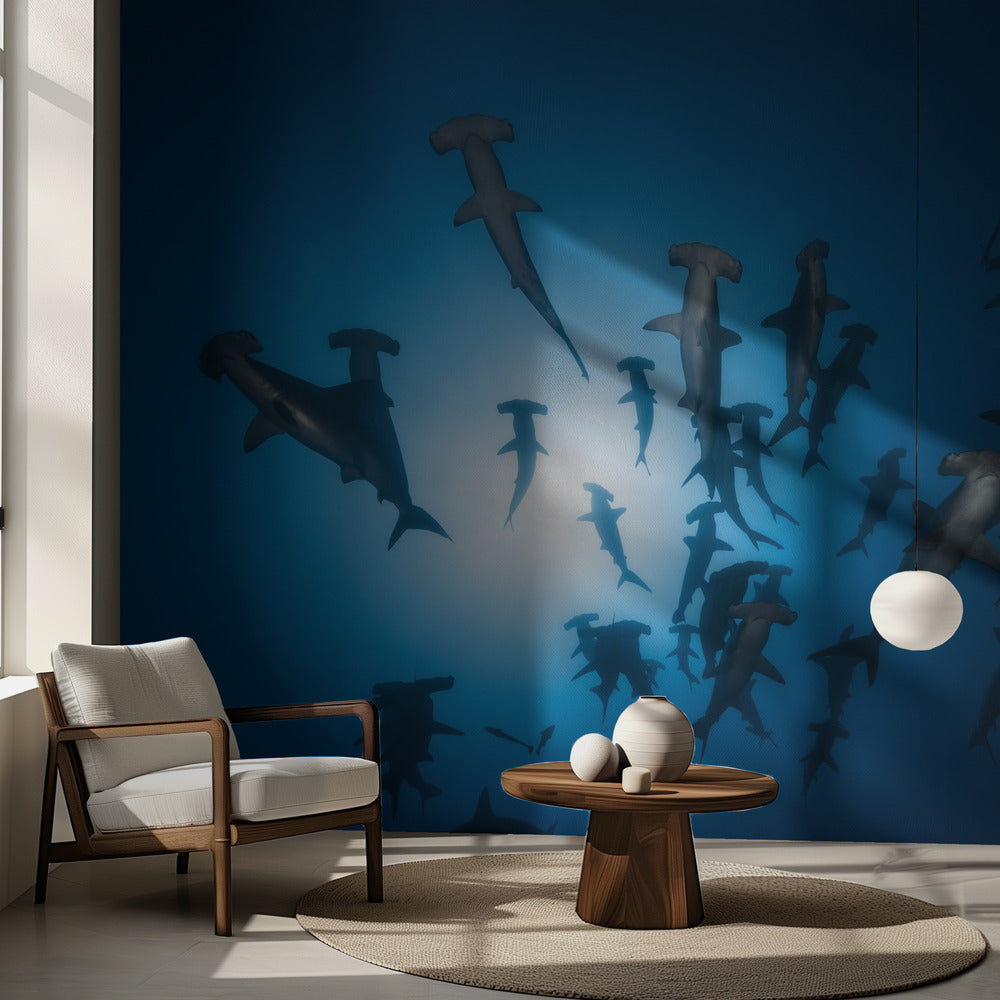 Tiburón martillo - Fotografía submarina | Papel Pintado Fotográfico