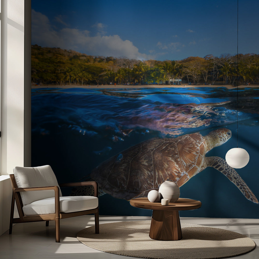 Tortuga Verde - Tortuga Marina | Papel Pintado Fotográfico