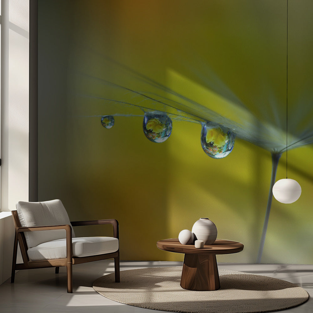 Rayo de sol...III | Papel Pintado Fotográfico