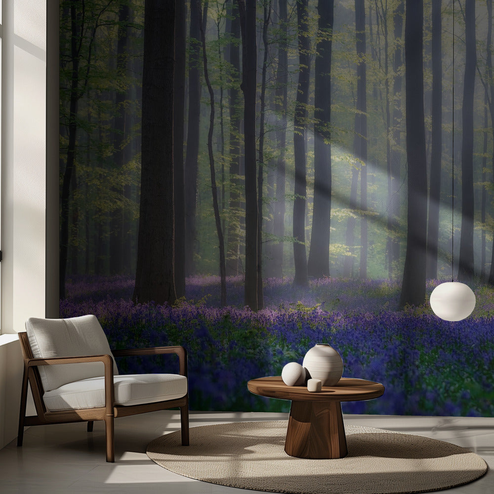 Bluebells | Wallpaper