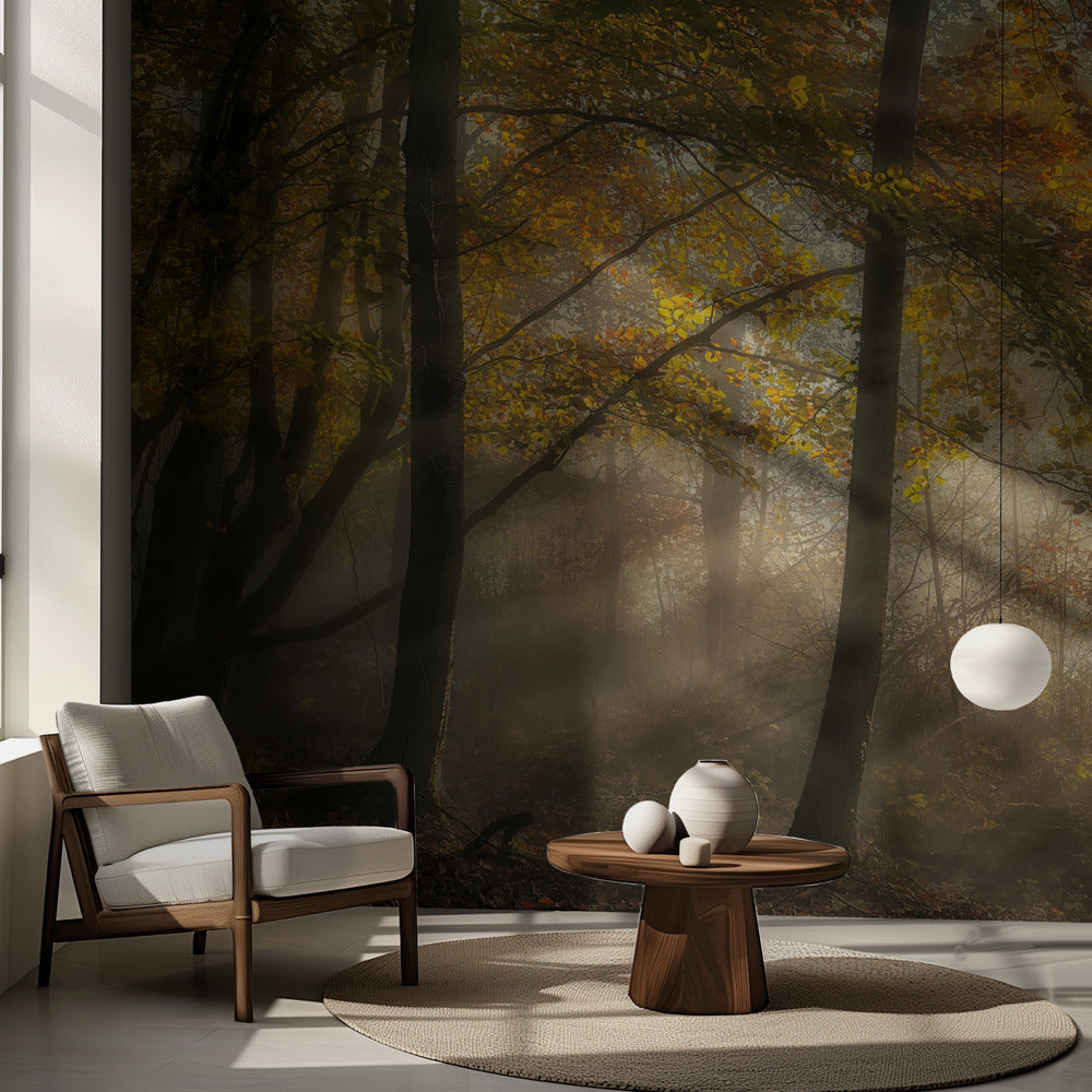 Las luces del bosque | Papel Pintado Fotográfico