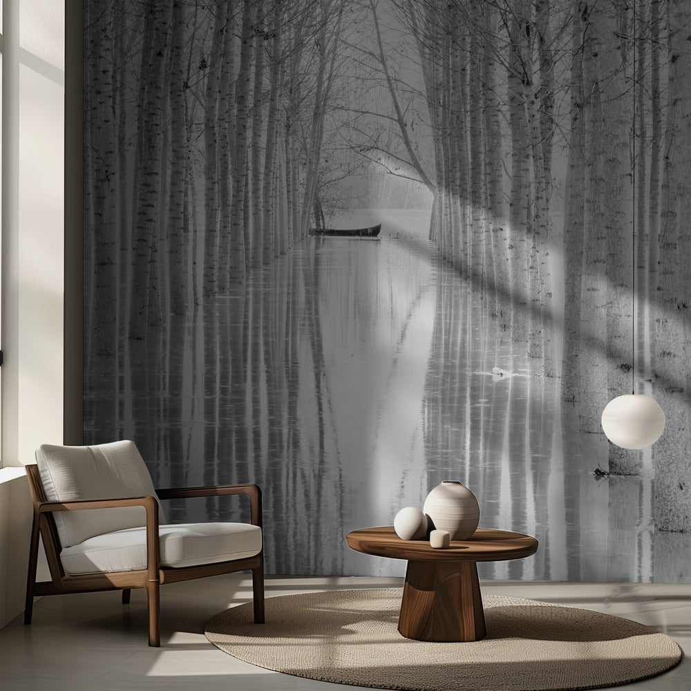 Libre circulación | Papel Pintado Fotográfico