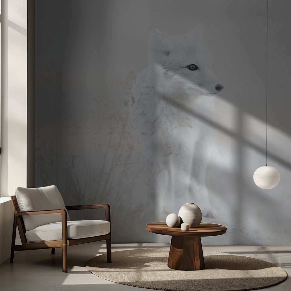 Looking around | Wallpaper