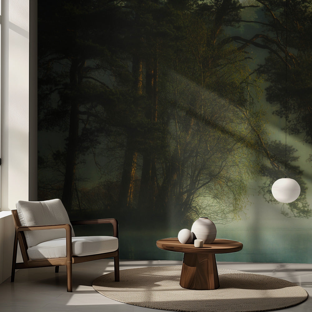 Hollandsk mose | Fototapeter