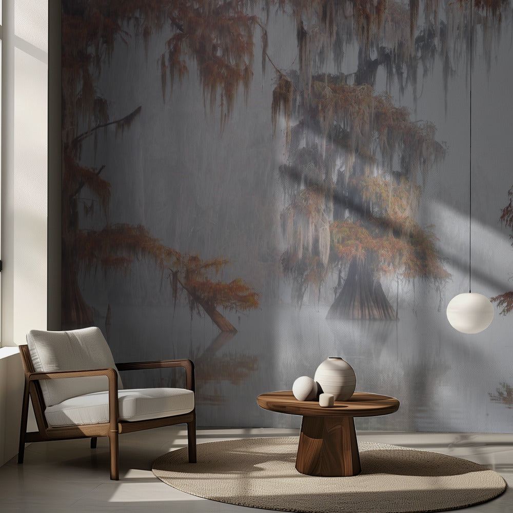 Tajemnicze bagna | Fototapeta